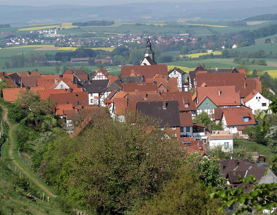 Blick Marienmünster vom Hang