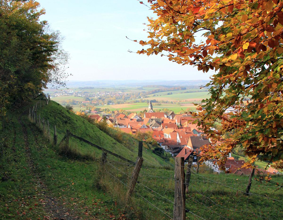 Blick auf Marienmünster vom Land