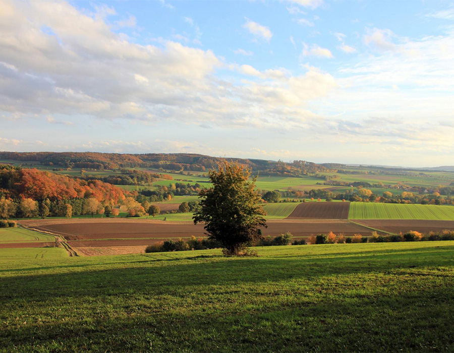 Schöne Landschaft